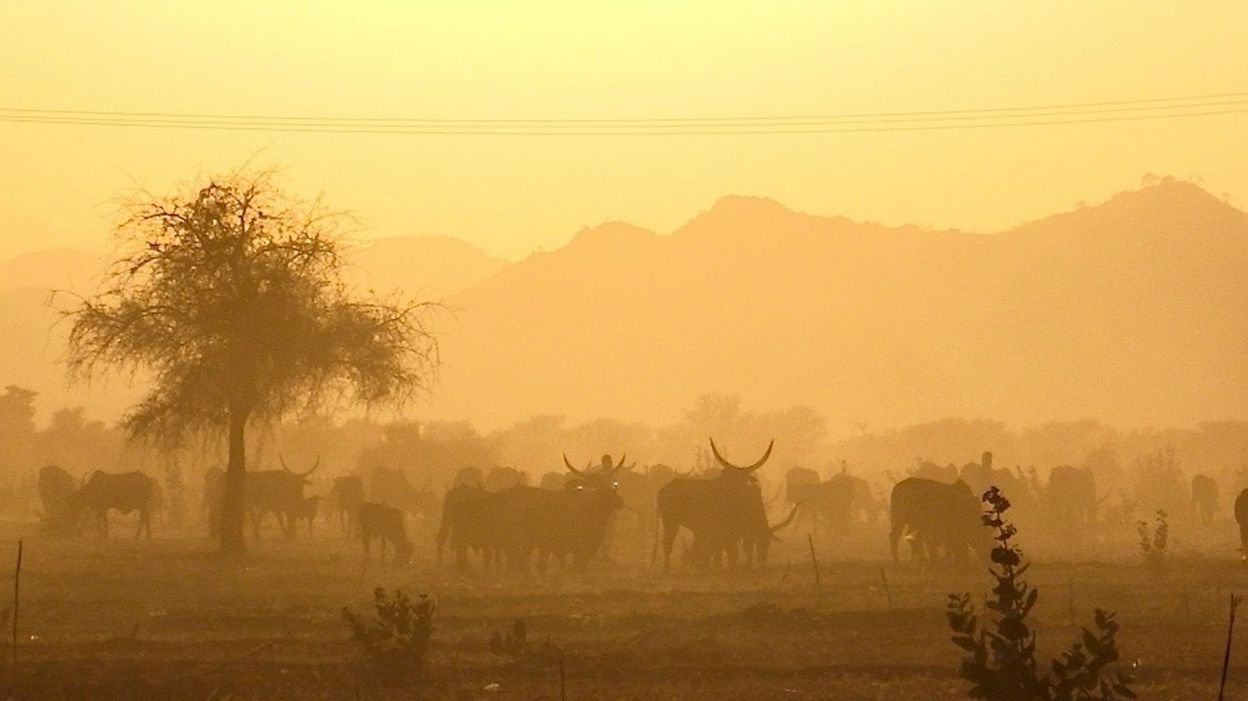 Nouvel épisode de pluie de sable du Sahara comment bien protéger et