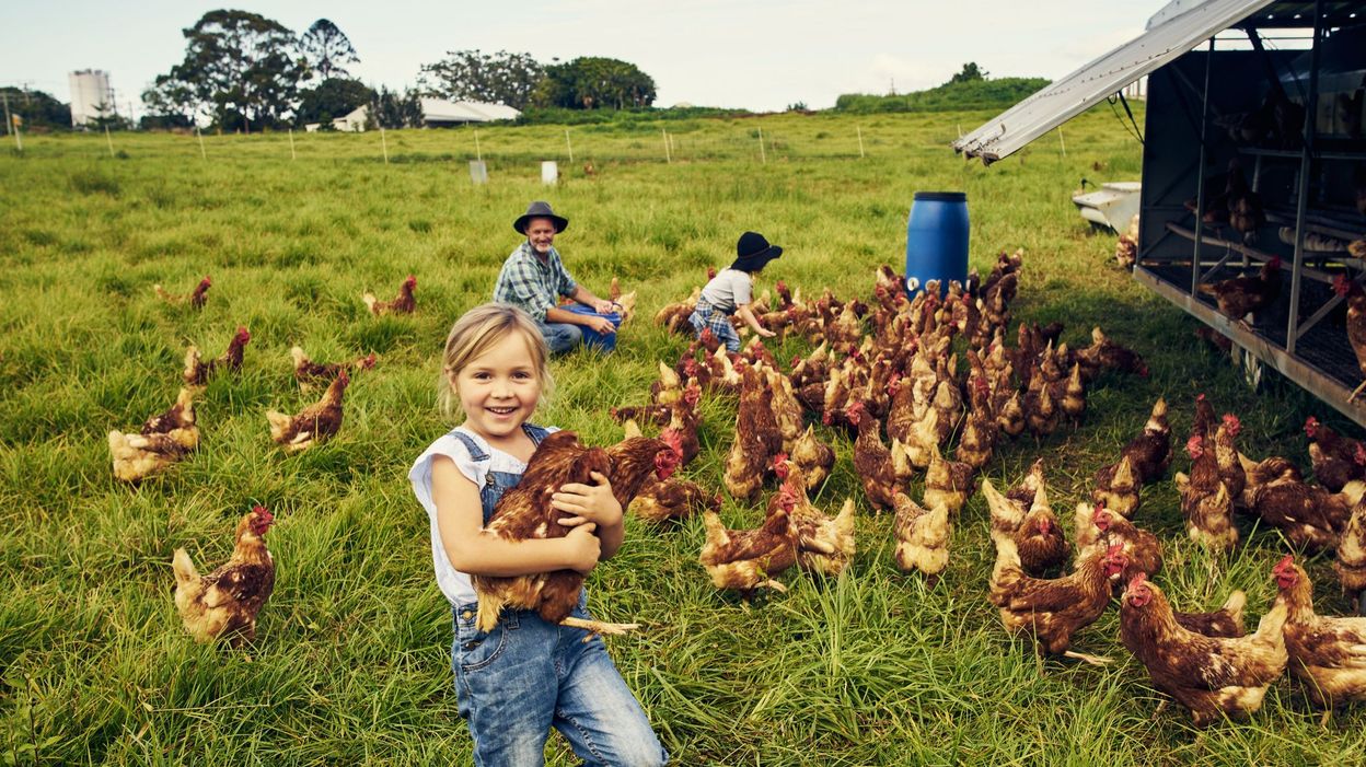 Visiter Une Ferme En Famille Ce Week End Fermes Wallonnes Ouvrent