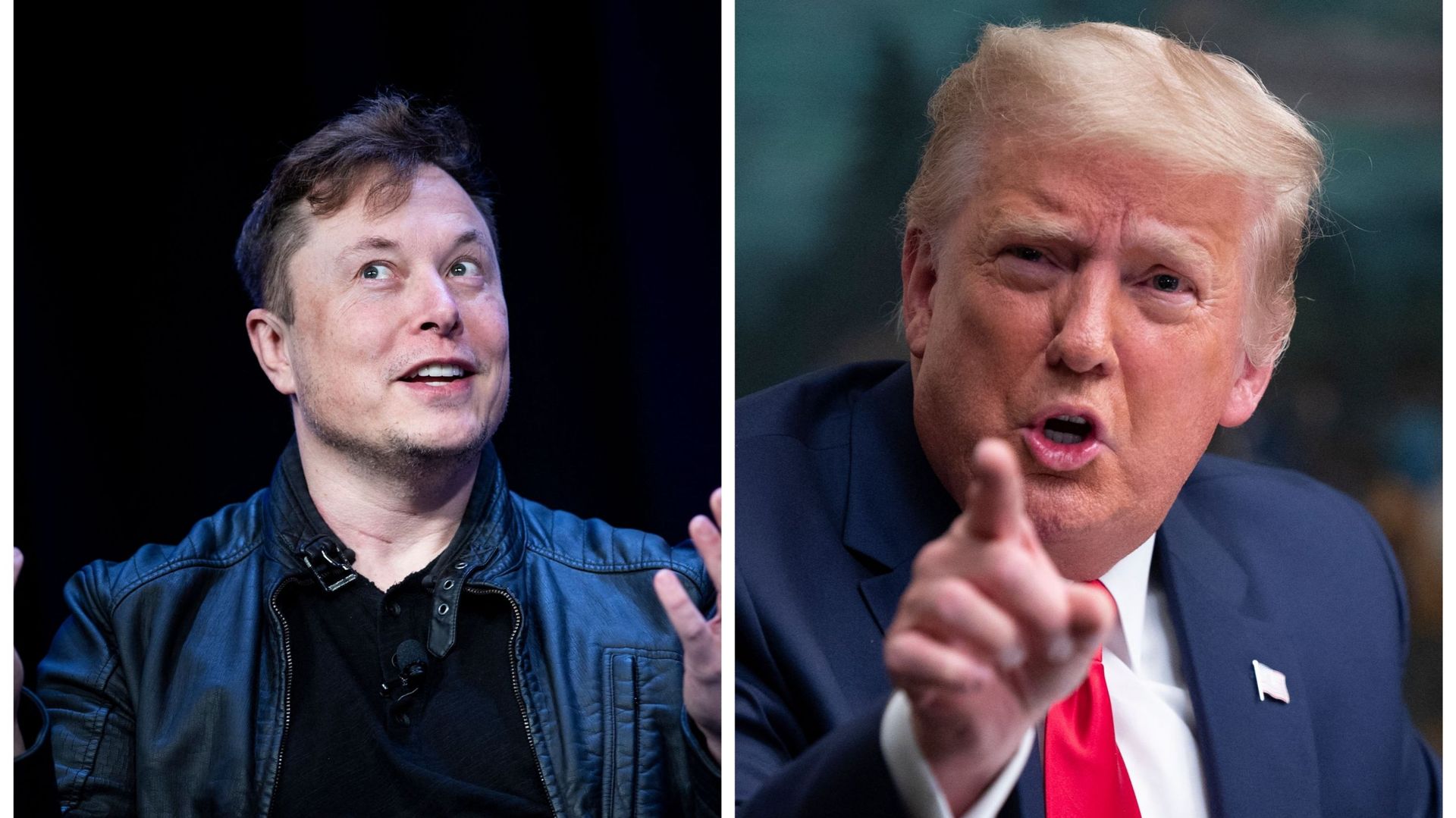 Elon Musk rétablit le compte de Donald Trump sur Twitter RTBF Actus