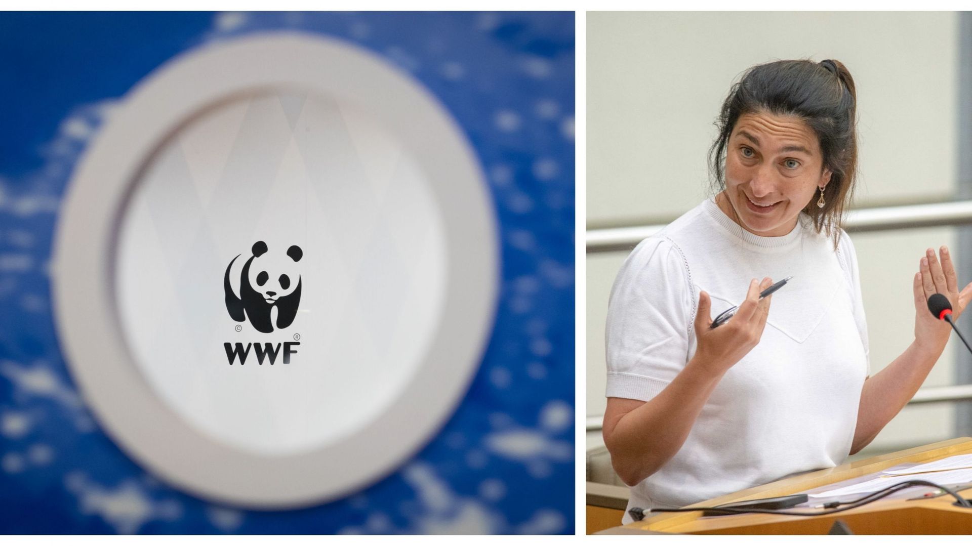 Loi Europ Enne De Restauration De La Nature Le Wwf Qualifie L