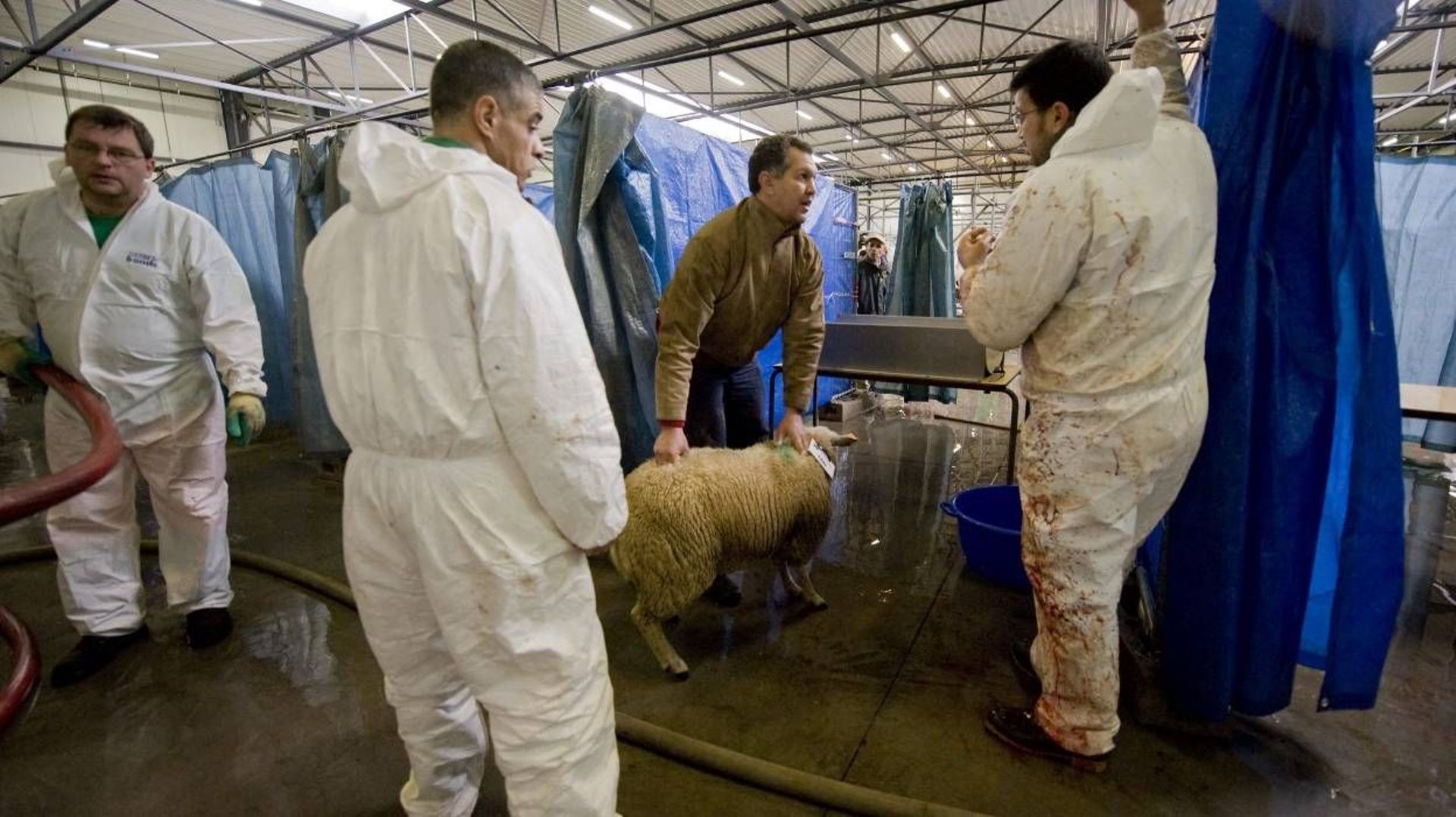 Bruxelles ça ne se bouscule pas pour la Fête du Sacrifice avec