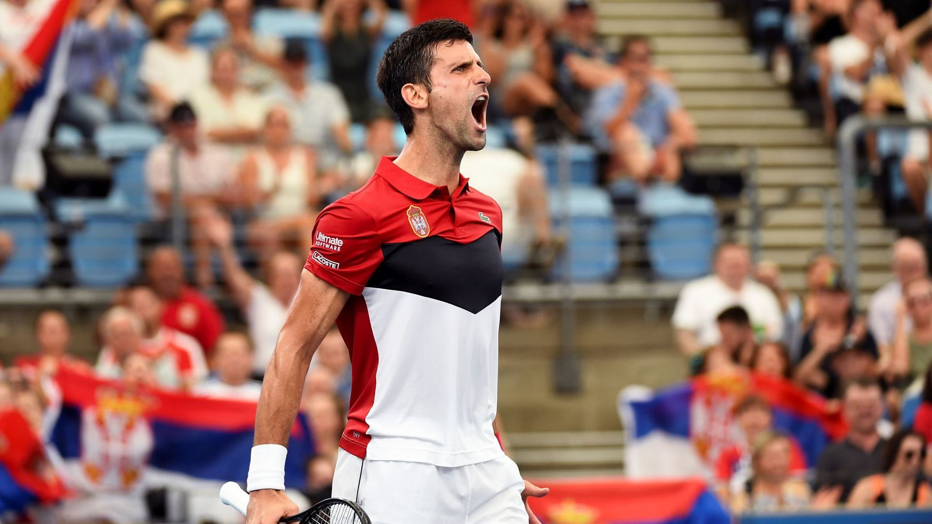 Djokovic Se Fait Peur Mais Envoie La Serbie En Demi Finale De L ATP