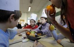 Distribution de fruits, légumes et produits laitiers assurée pour les écoliers européens