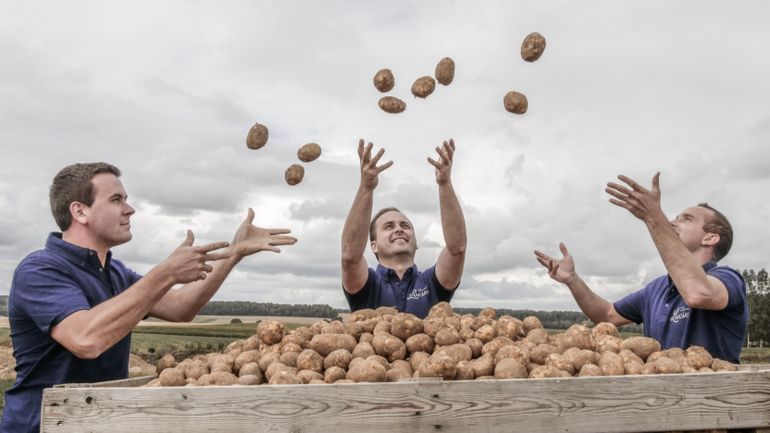 Salé, paprika ou épicé ? Trois cousins pour une nouvelle marque de chips