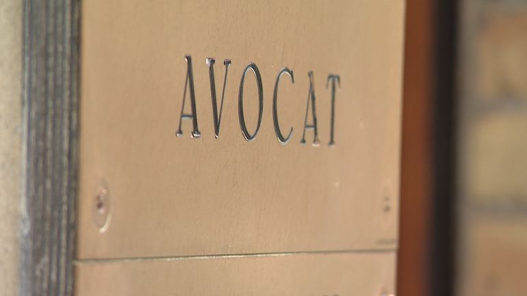Le Scan : les plaques professionnelles sont-elles réglementées?