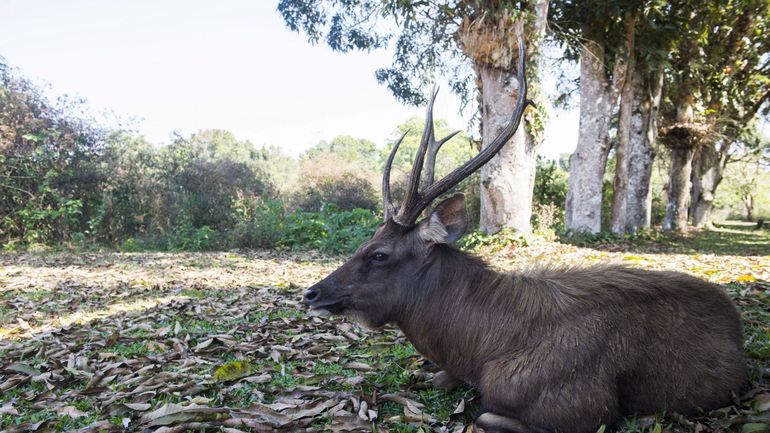 Une réserve naturelle thaïlandaise renvoie les déchets des campeurs par courrier