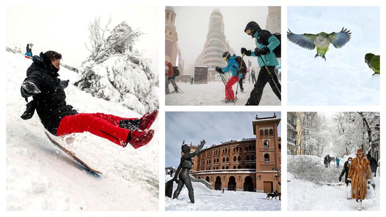 Du ski Puerta del Sol : les impressionnantes images de la neige qui ensevelit Madrid