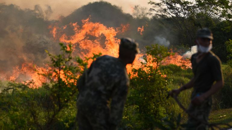 Le Paraguay lutte contre les incendies de forêt alors que le Congrès déclare l'urgence nationale