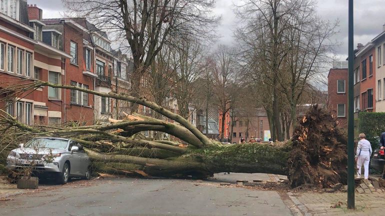 Ciara : les images marquantes de la tempête