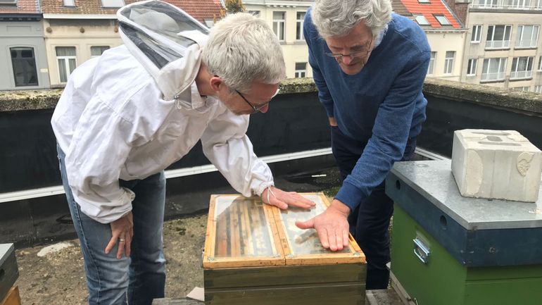 Le frelon asiatique débarque à Bruxelles: les apiculteurs sont inquiets