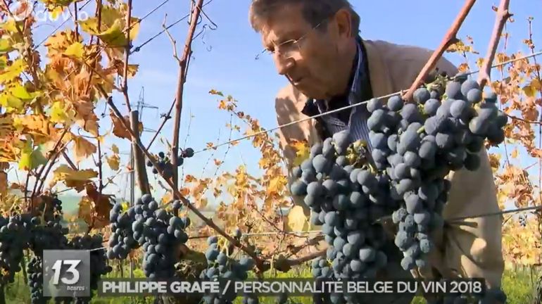 Faire du vin en Belgique: Philippe Grafé est l'un des premiers à y avoir cru