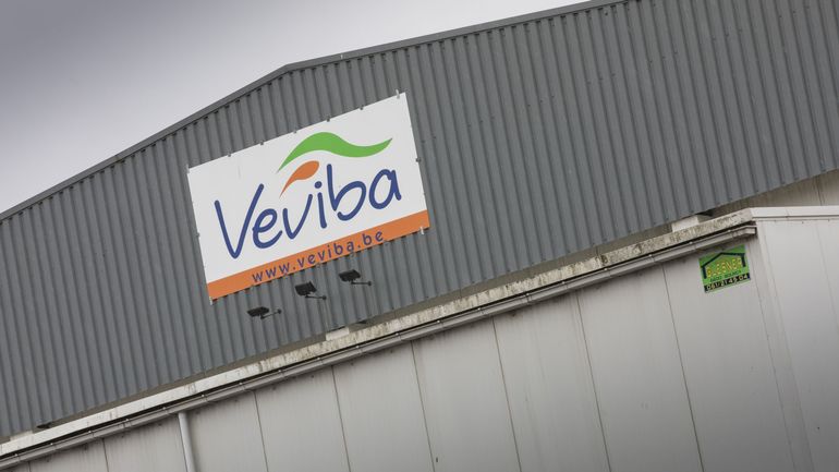 Veviba: la responsabilité du gouvernement est engagée, estiment les Verts