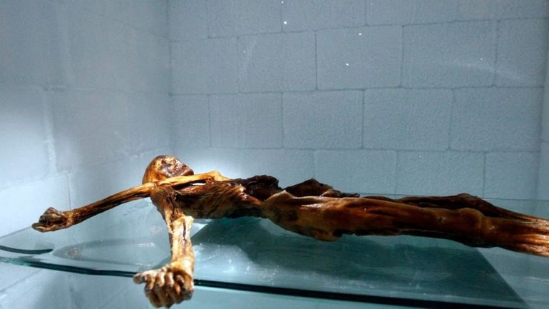 Un Jour dans l'Info: La découverte d'Otzi, l'Homme des Glaces au milieu des Alpes