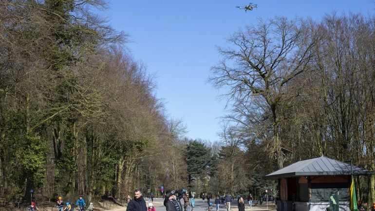Coronavirus à Bruxelles : des fêtes clandestines au bois de la Cambre, 