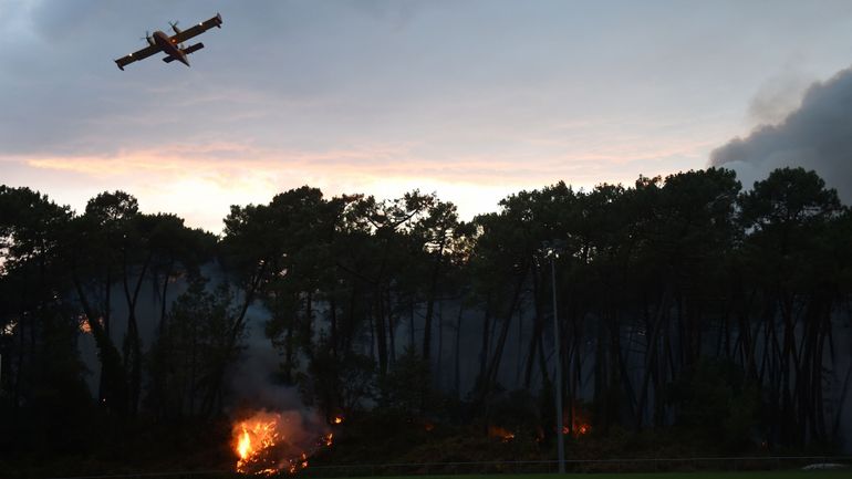 France : 70 hectares de forêt détruits dans un incendie en Ardèche