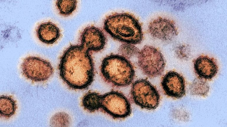 Trois premiers cas du nouveau coronavirus confirmés en Corse