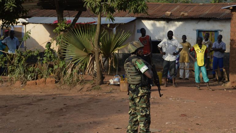 Centrafrique: des rebelles ont pris le contrôle d'une ville à 750 km de Bangui