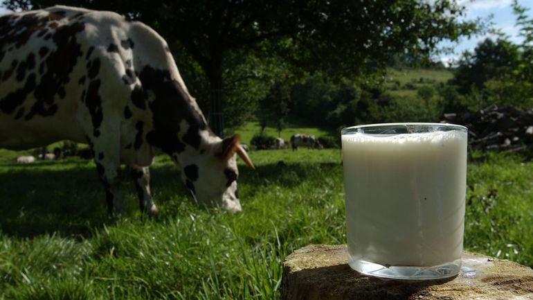 Le prix du lait chute : la Commission européenne va-t-elle recréer des 