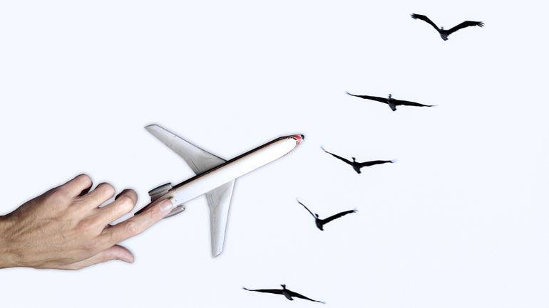 Airbus veut faire voler les avions de ligne en V comme les oiseaux migrateurs pour épargner du carburant