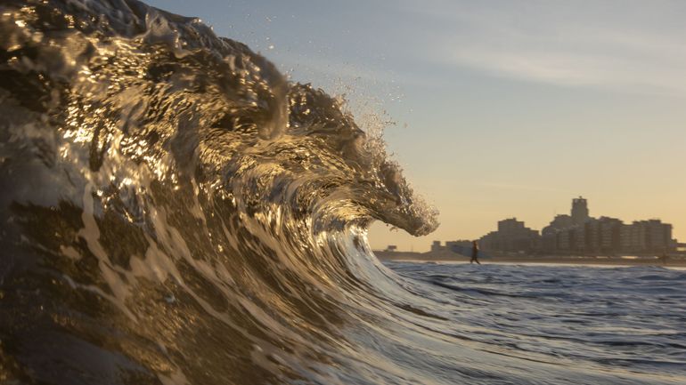 Cinq surfeurs perdent la vie au large des côtes néerlandaises à cause de vents violents et des forts courants