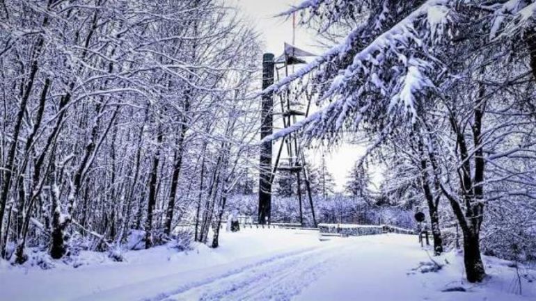 Neige : la Tour du Millénaire et les routes menant à la Croix-Scaille fermées à Gedinne