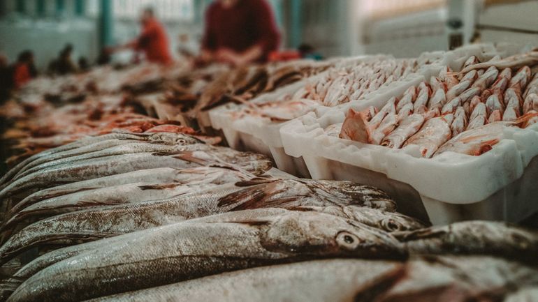 Le consommateur mange plus de poissons