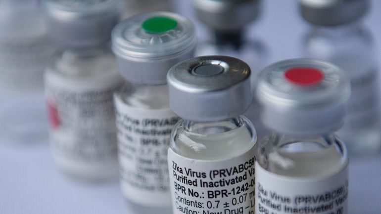Grippe A et Zika : des chercheurs de Louvain trouvent un nouvel agent antiviral