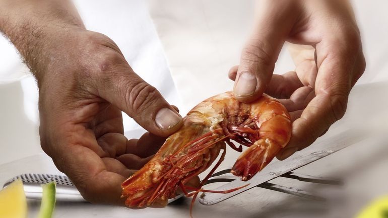 Vos gambas sont-elle fraîches ?