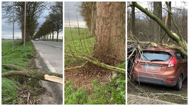 Toitures endommagées, arbres abattus... Région par région, les dégâts causés par la tempête Dennis en Belgique