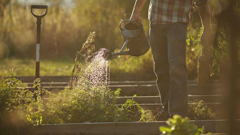 C'est la ruée vers l'or vert dans les jardineries