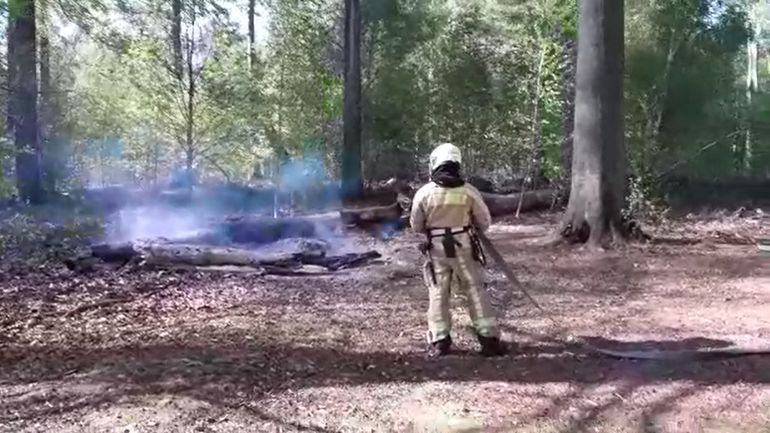 Dégâts sur la flore et la faune, feux de camp, sentiers sauvages : la Forêt de Soignes souffre depuis le début du confinement