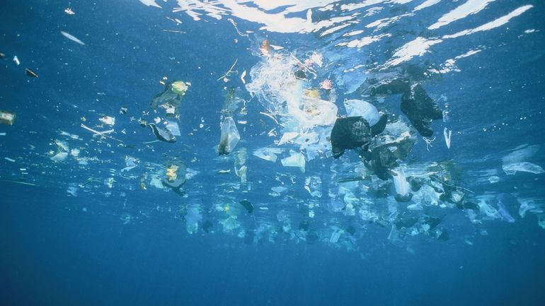 Le plastique ne présente aucune trace de détérioration après 20 ans en mer