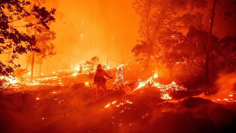 Plus de 8000 km2 incendiés en Californie, un record depuis 1987