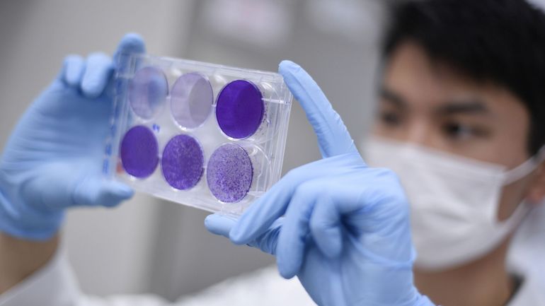 Coronavirus : des OGM dans les vaccins ? L'UE prévoit des dérogations pour accélérer la recherche