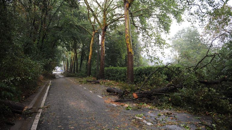 Soyez prudents ce week-end: la tempête Ciara arrive en Belgique, avec des vents violents