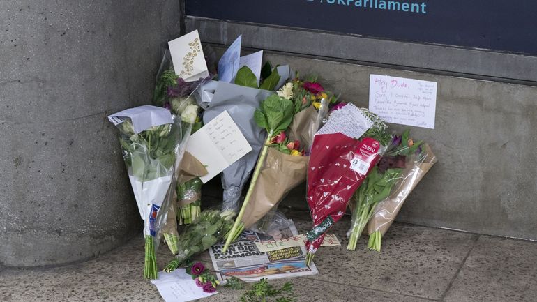 Vive émotion après la mort d'un SDF portugais à proximité du parlement londonien