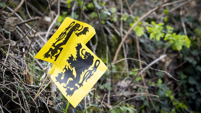 Un drapeau flamand enlevé par la police lors d'un camp scout à Trois-Ponts