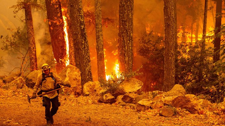 Incendies en Californie : l'aide aux victimes bloquée par l'administration Trump