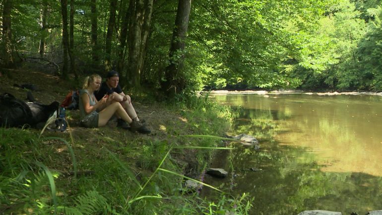 Trek en Ardennes, safari dans les Fagnes : l'été sera noir, jaune, rouge