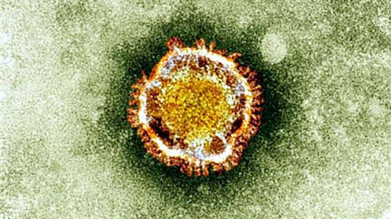 Coronavirus : la carte d'identité du mystérieux virus