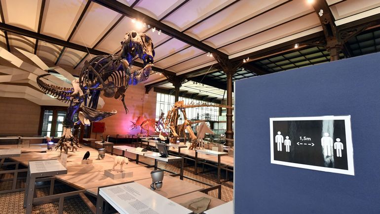 Les musées bruxellois font leur 