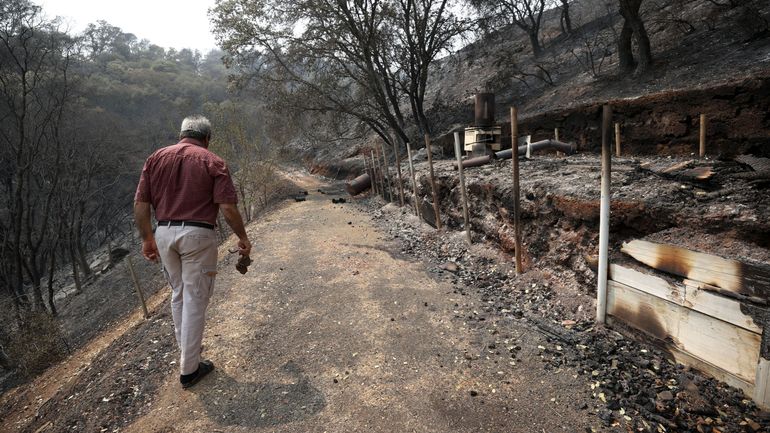 Ravagé par les incendies, l'Ouest américain redoute de nouveaux morts