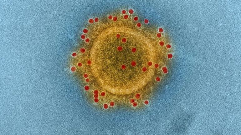 Le coronavirus propage aussi son lot de fake news et canulars