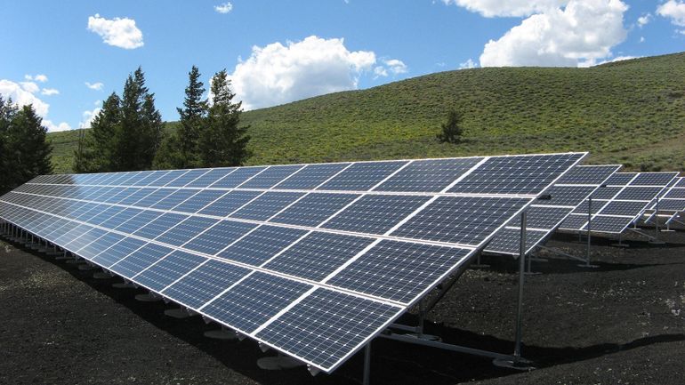 Engie installe 117.000 panneaux solaires chez un cultivateur néerlandais