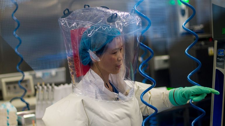 Mission exploratoire de l'OMS en Chine pour tenter de déterminer l'origine du coronavirus