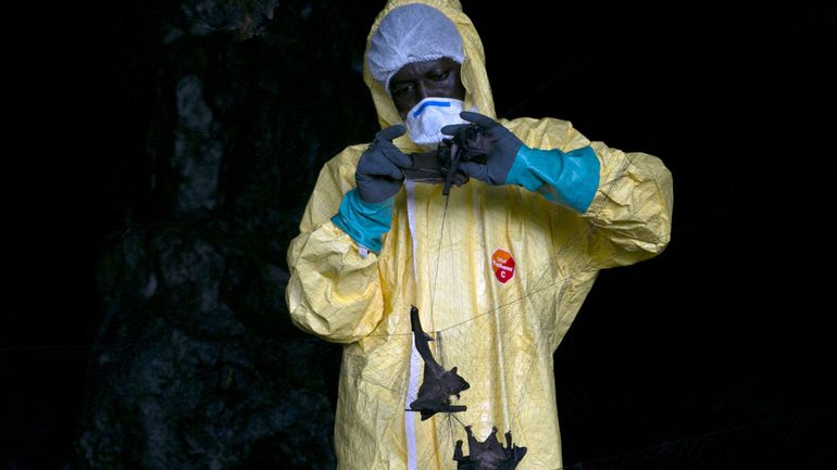 Une réserve mondiale de 500.000 doses contre Ebola créées pour lutter contre de futures épidémies