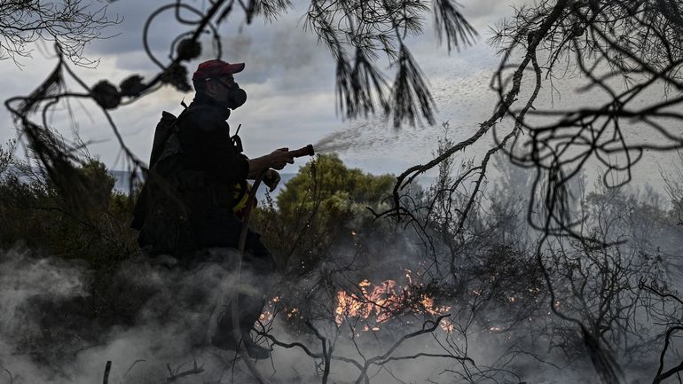 Grèce : un incendie dans le camp de migrants sur l'île de Samos 