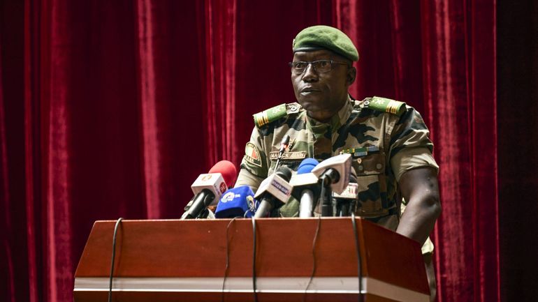 Mali : le colonel Malick Diaw élu à la tête du Conseil national de transition