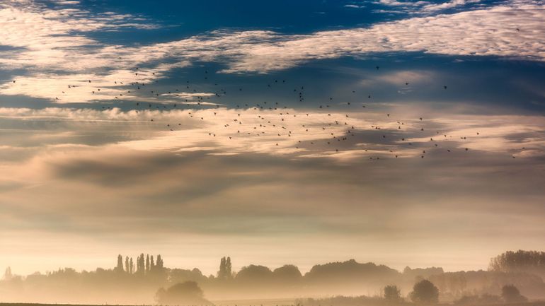 Météo froide et grisonnante en attendant le week-end