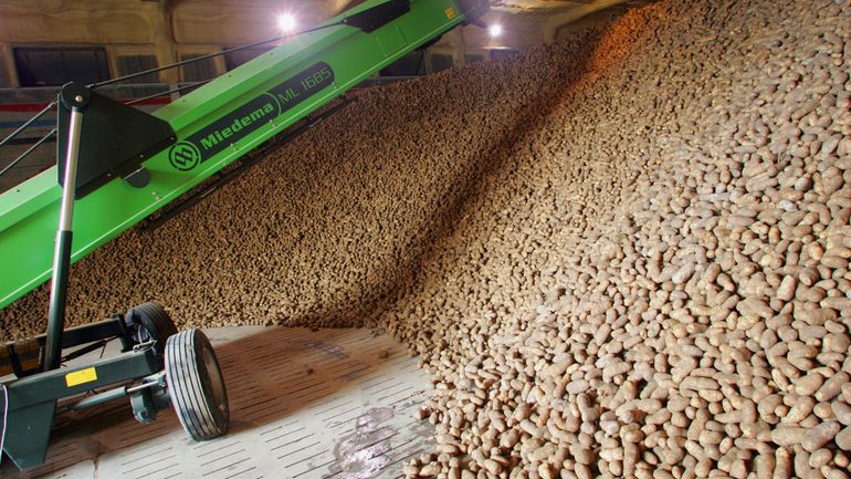 Vingt-cinq tonnes de pommes de terre seront livrées chaque semaine aux banques alimentaires